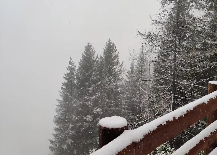 Orman Evi Skylodge 'il Rifugio Dell'anima' Usseglio